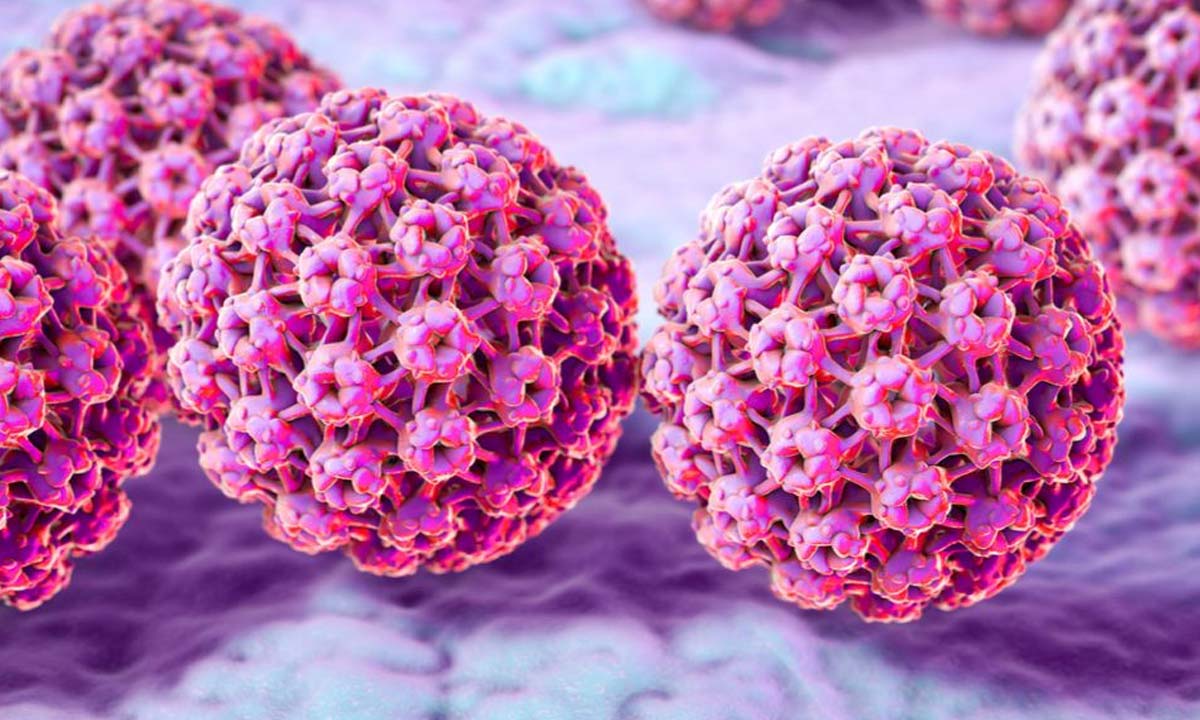 hpv dna nedir májrák kezelési lehetőségei