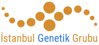 İstanbul Genetik Grubu